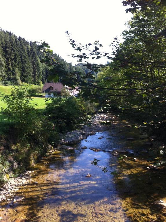 Landhaus Haselmoar Altmünster Eksteriør bilde